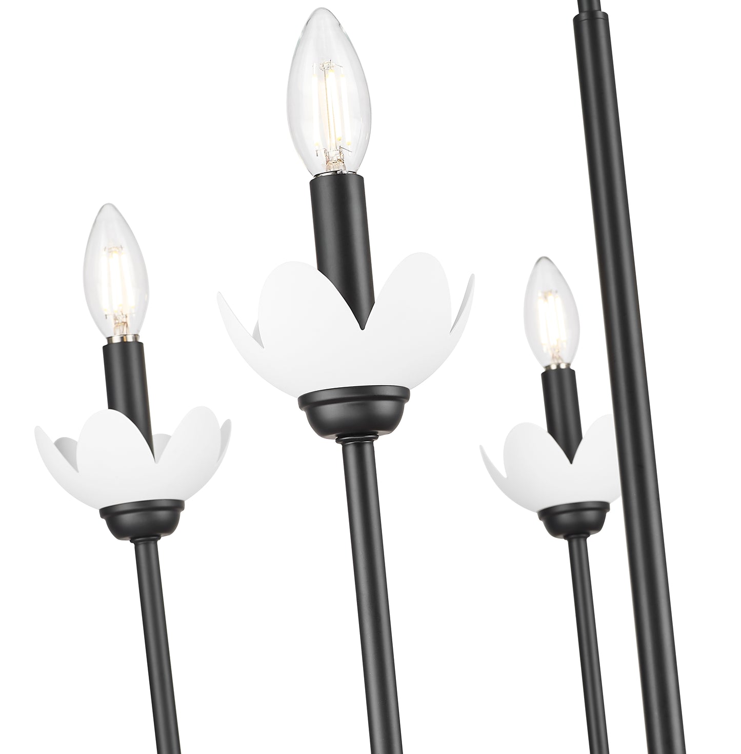 Allistair 5 Light Chandelier Matte Black