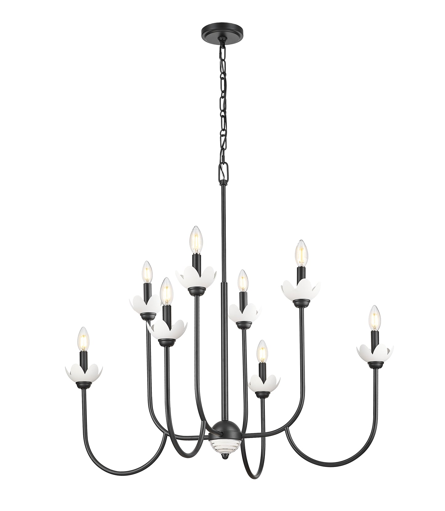 Allistair 8 Light Chandelier Matte Black