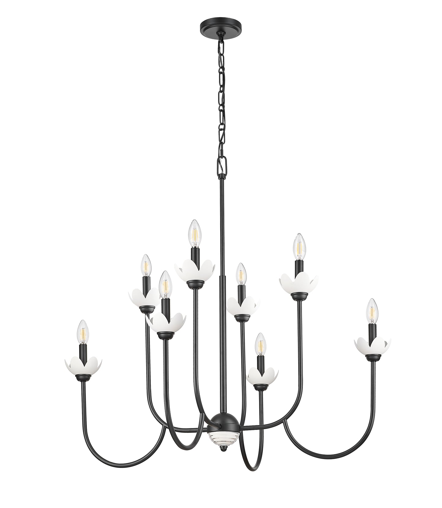 Allistair 8 Light Chandelier Matte Black