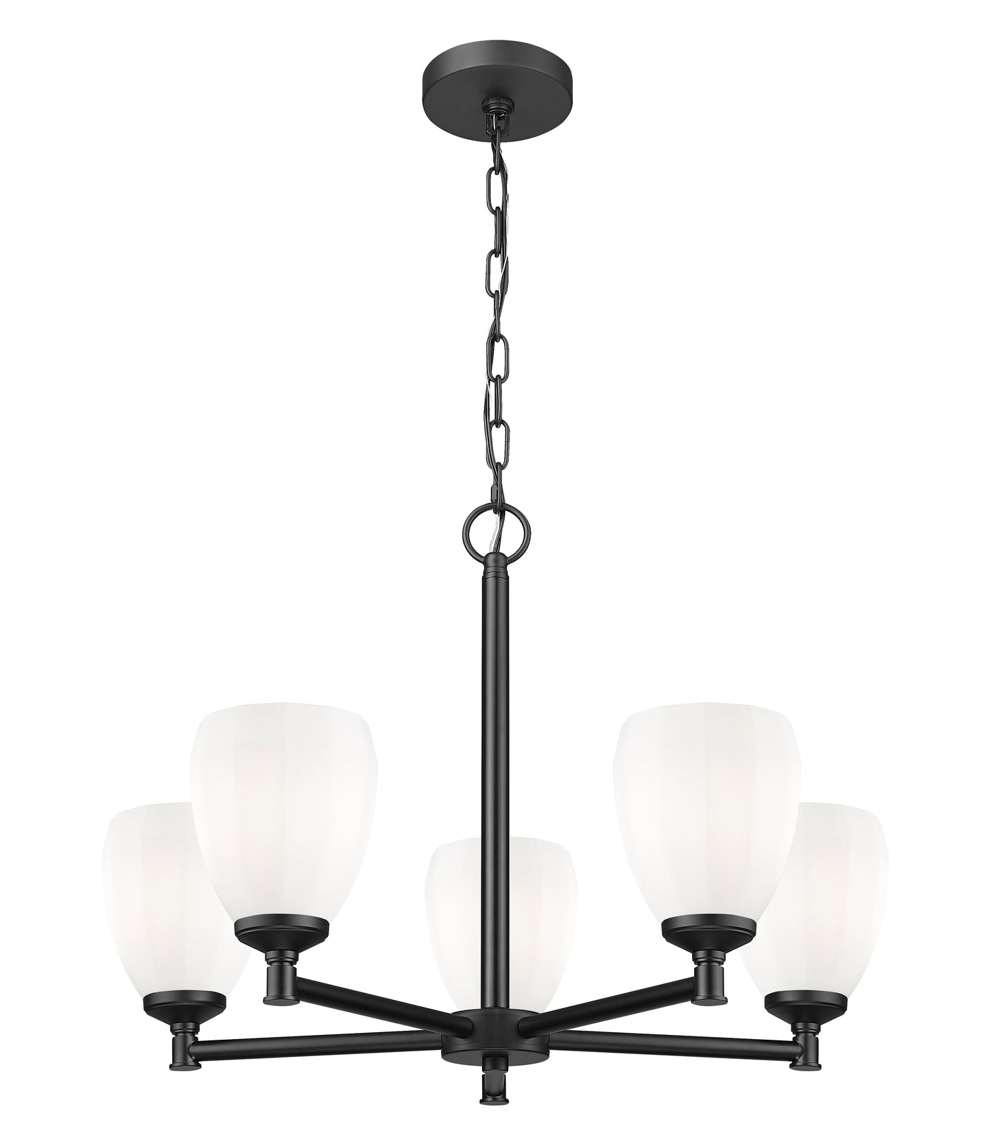 Oren 5 Light Chandelier Matte Black