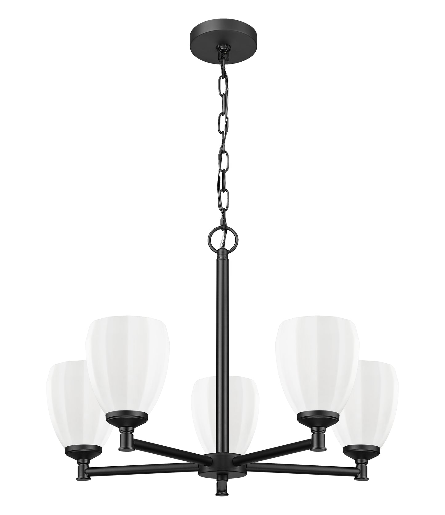 Oren 5 Light Chandelier Matte Black