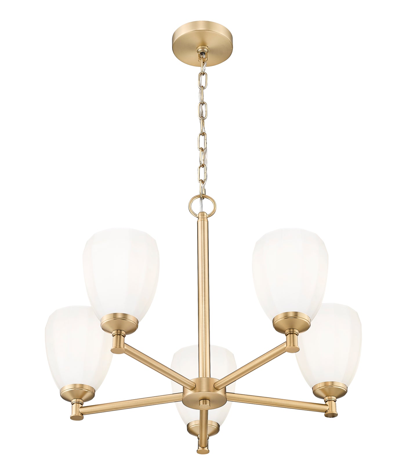 Oren 5 Light Chandelier Modern Gold