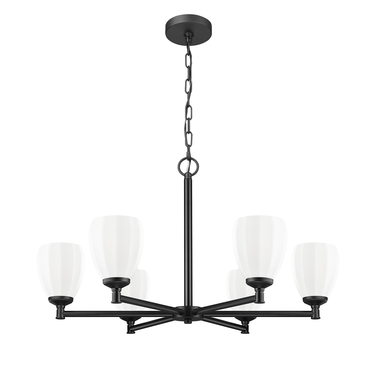 Oren 6 Light Chandelier Matte Black