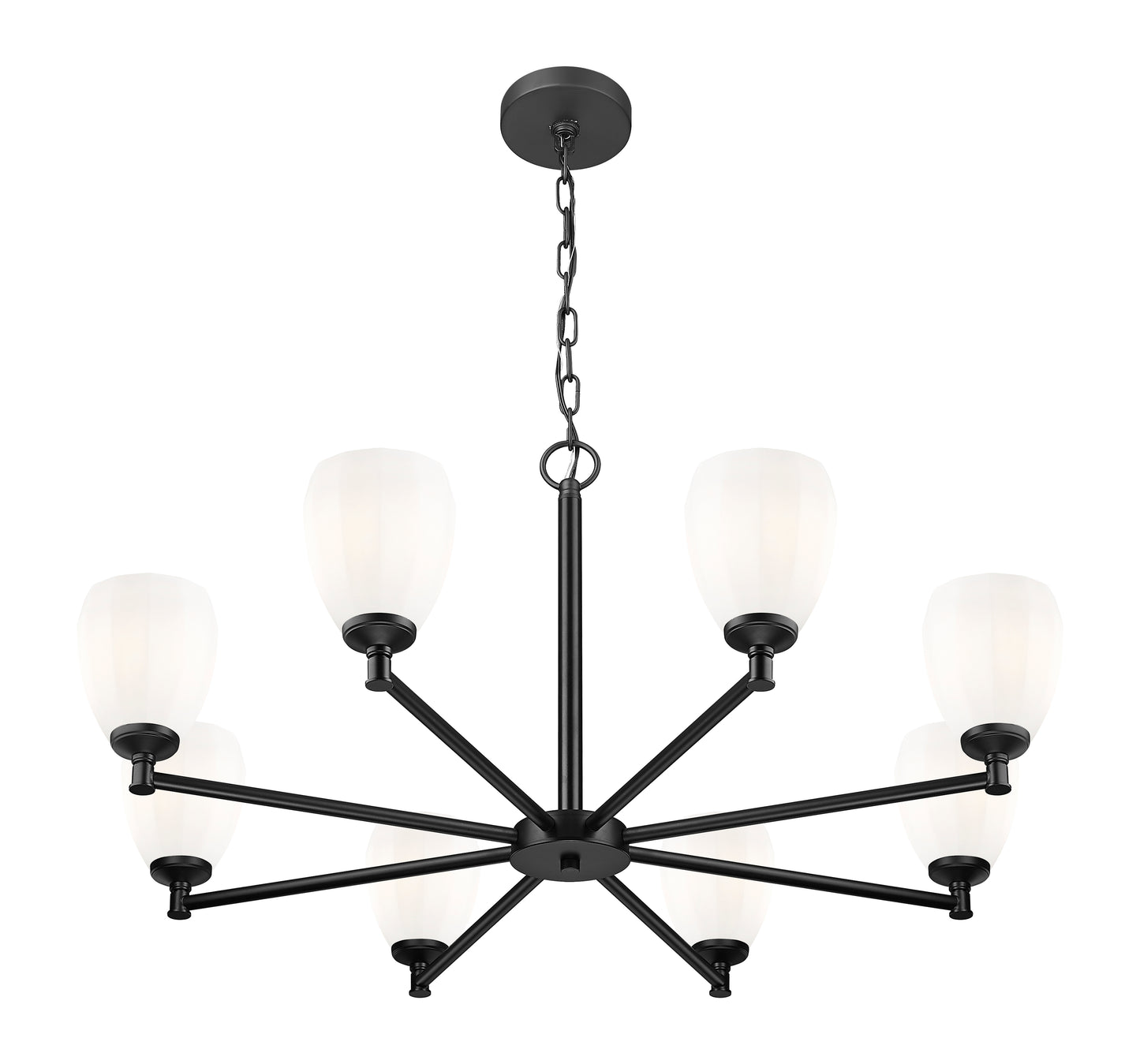 Oren 8 Light Chandelier Matte Black