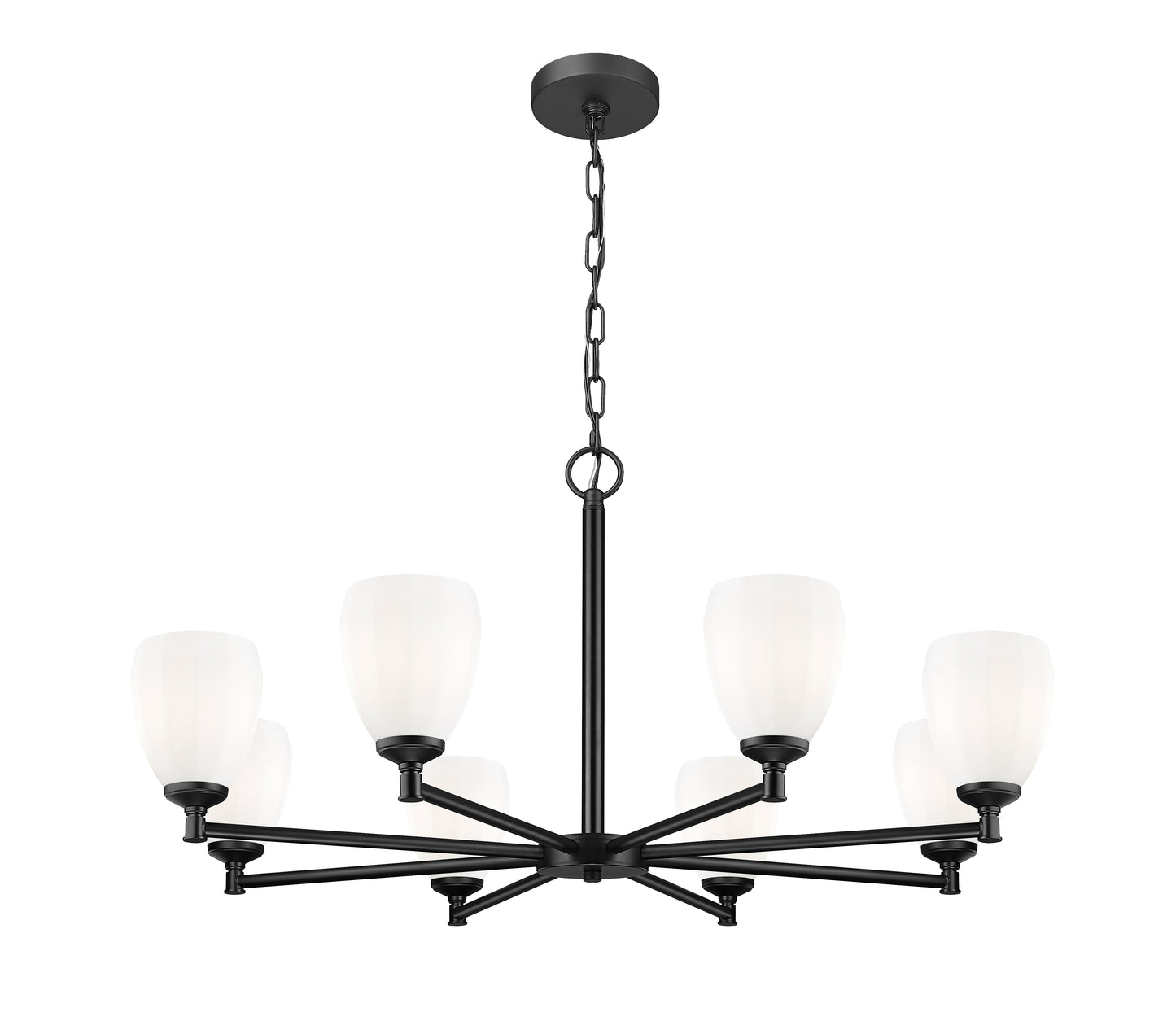 Oren 8 Light Chandelier Matte Black