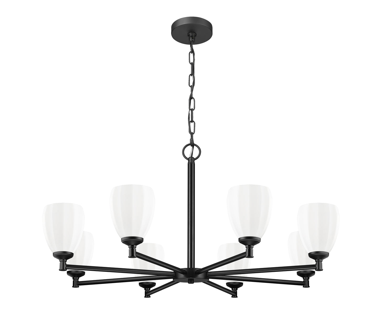 Oren 8 Light Chandelier Matte Black