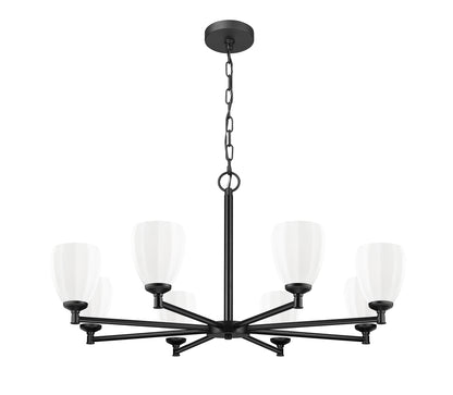 Oren 8 Light Chandelier Matte Black