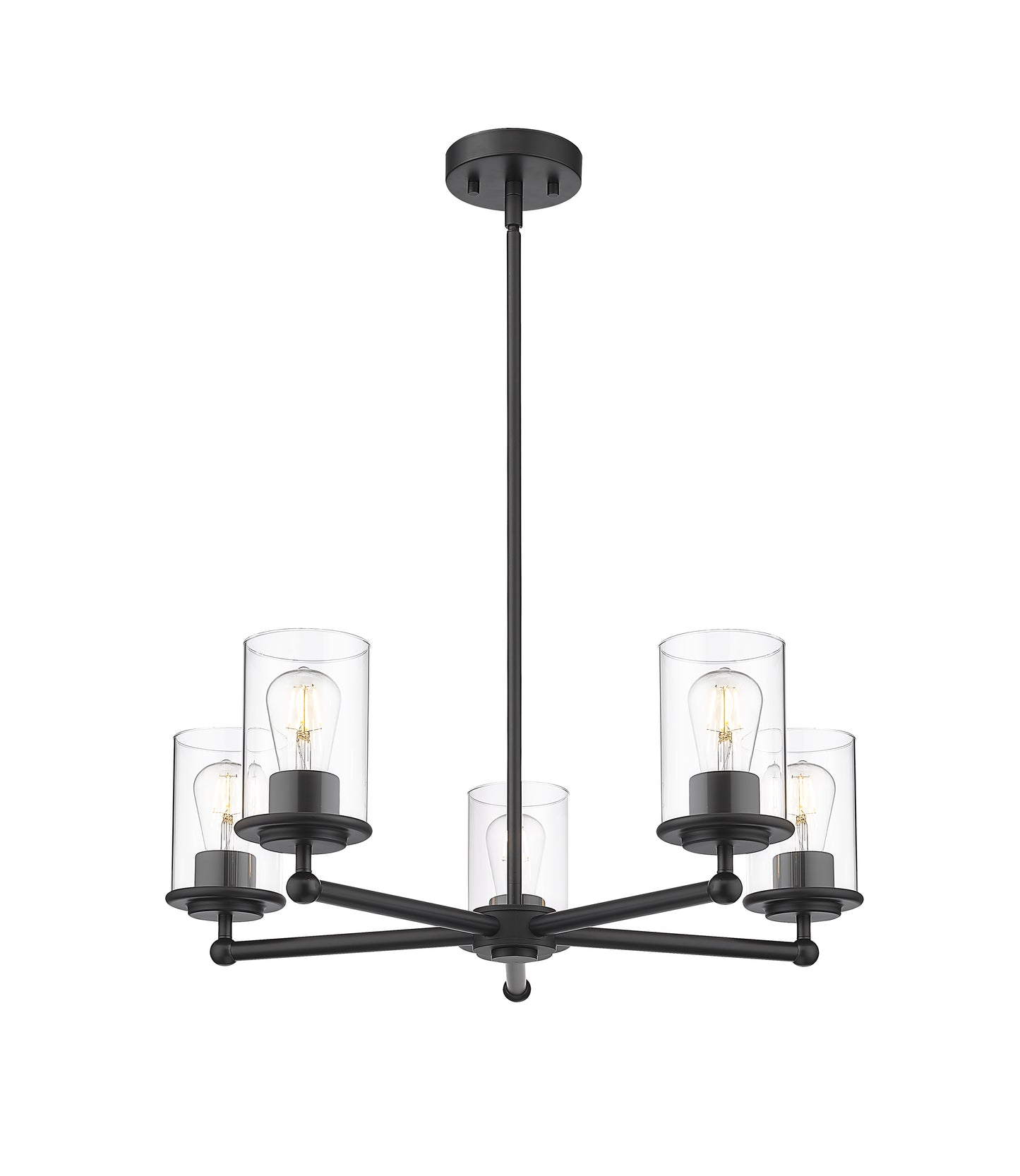 Thayer 5 Light Chandelier Matte Black