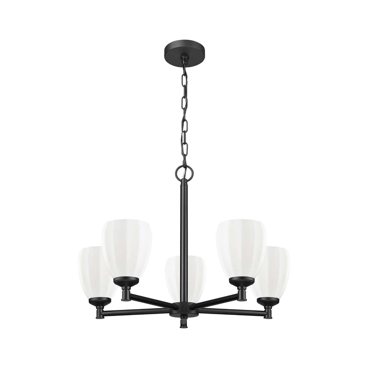 Oren 5 Light Chandelier Matte Black
