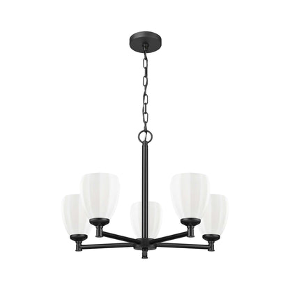 Oren 5 Light Chandelier Matte Black