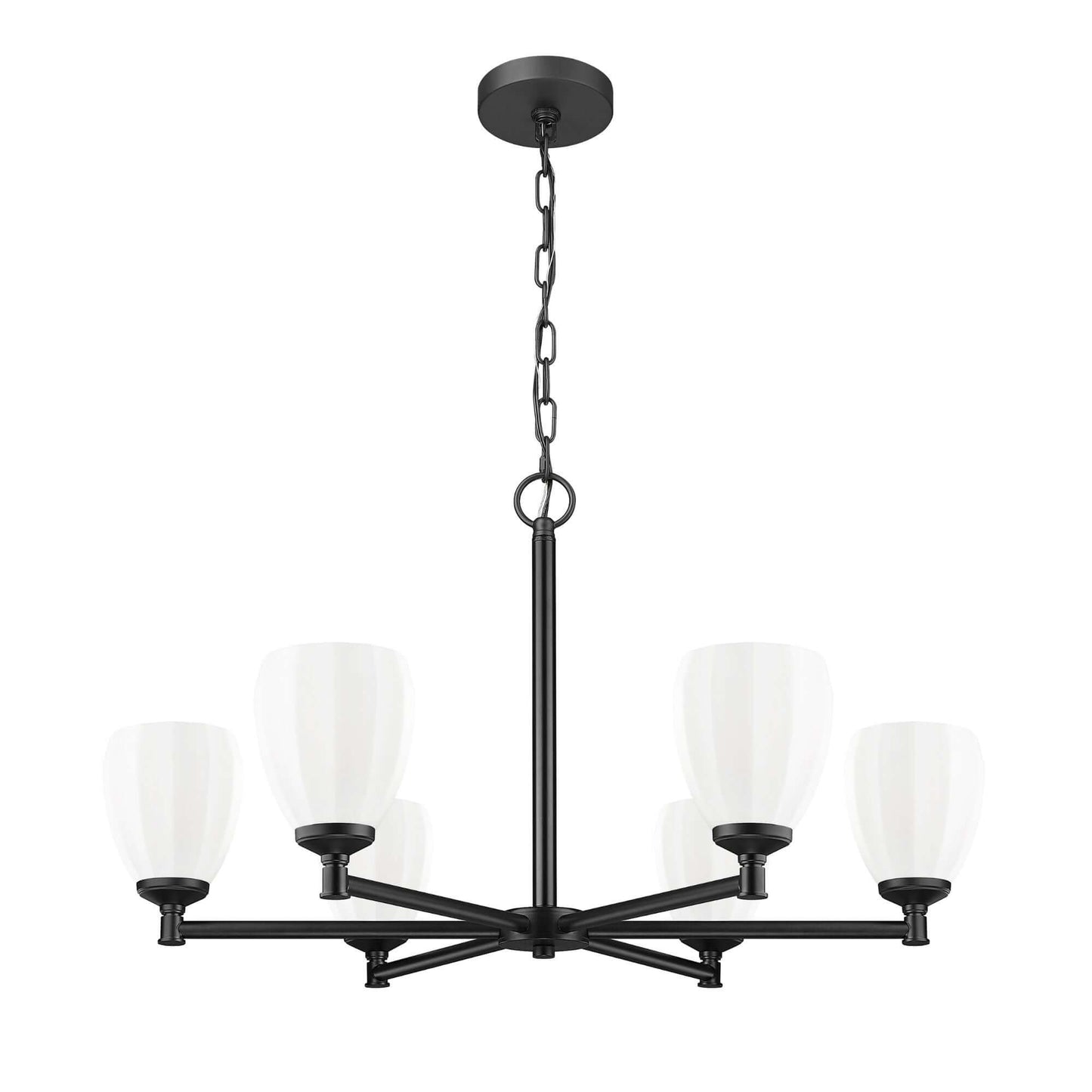 Oren 6 Light Chandelier Matte Black