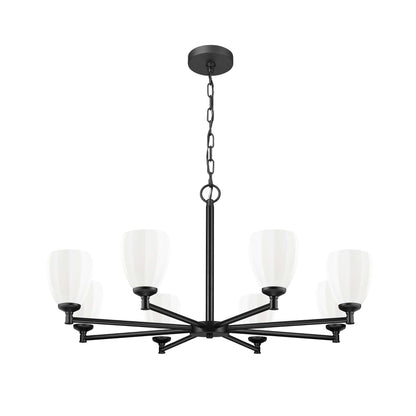 Oren 8 Light Chandelier Matte Black