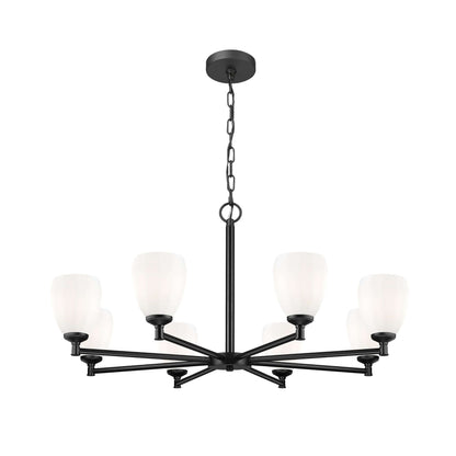 Oren 8 Light Chandelier Matte Black