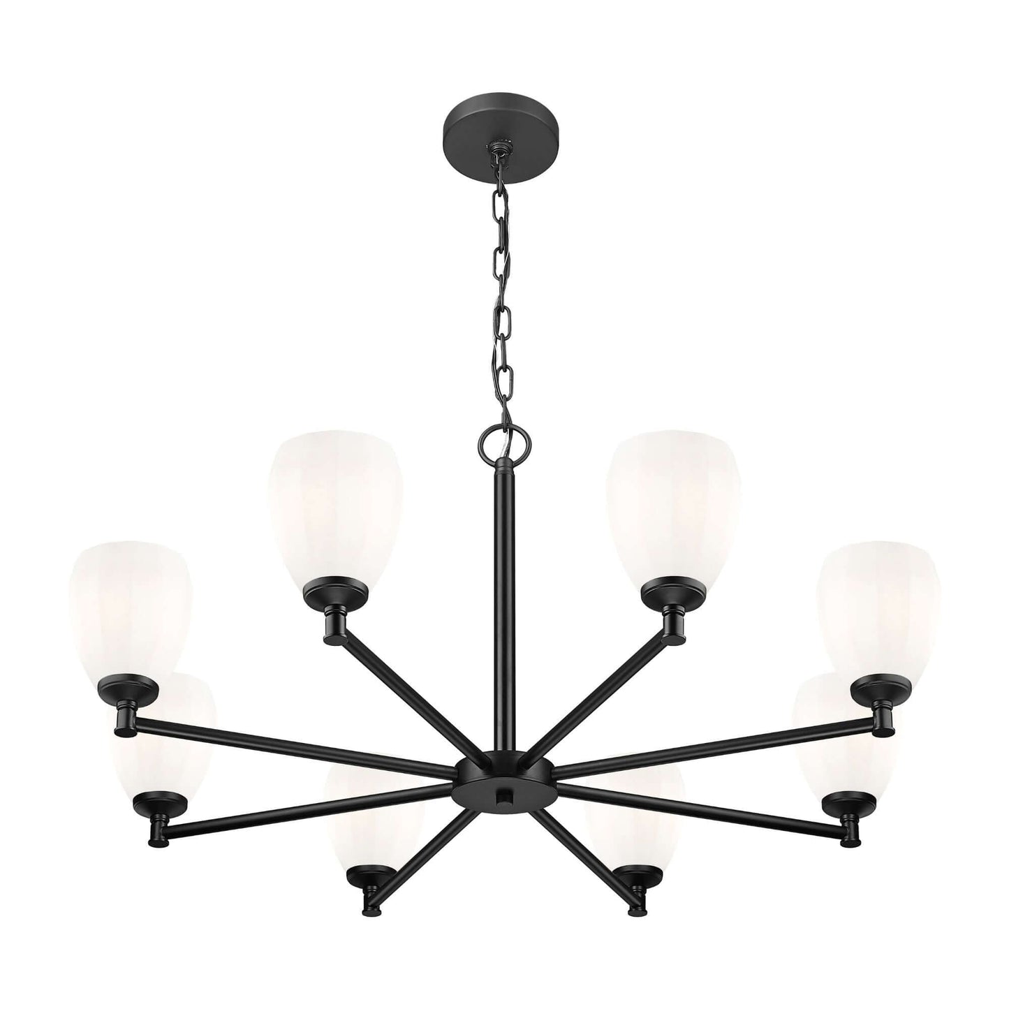 Oren 8 Light Chandelier Matte Black